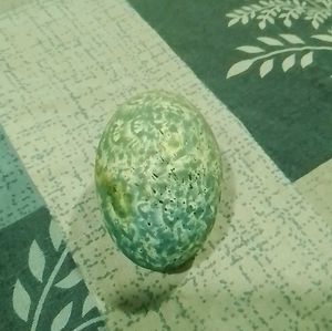 Egg Shells