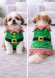 Dog Xmas Elf Costume