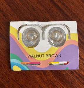 Walnut Brown Contact Lenses