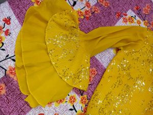 Elegant Lehenga Choli Set