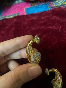Exclusive Ad Designer Earings