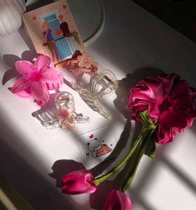 Cute Hair Clip Bundle