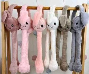 Women Fancy Earmuffs