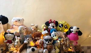 Plush Toy Collection/ Bundle
