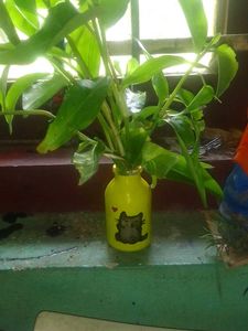 Cute Glass Bottle Art