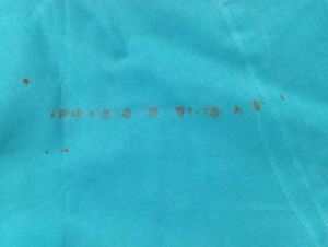 Teal Embroidered Kurta Set