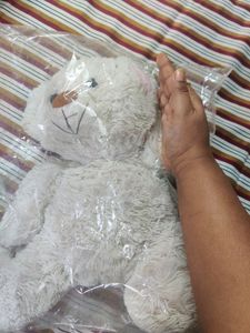 Teddy Bear For Kids