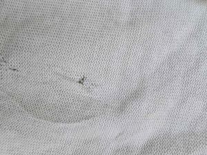 🐊 Lacoste Shrug - Classic Style