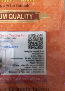 2 Mukhi Rudraksha Pendant