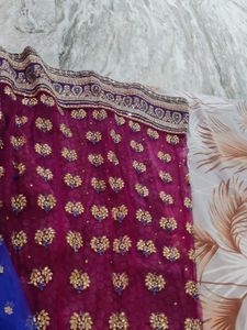 Elegant lehenga and dupatta NO BLOUSE