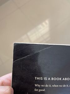 THE MOUNTAIN IS YOU- Self Help Book