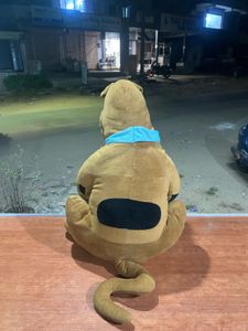 Scooby-Doo Plush - Gently Used!