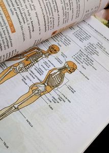 Class 11 Biology ✨PRICE CAN BE REDUCED ✨