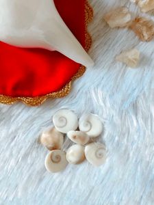Laxmi Pooja Kit