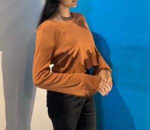 Brown Full Sleeve Crop Top