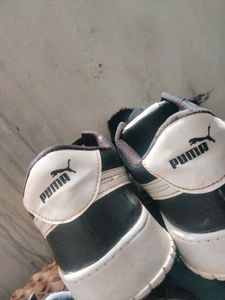 PUMA SHOES 1 TIME USED