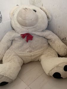 Big Size Taddy Bear