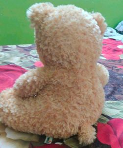 Beige Cute Teddy Bear 🧸