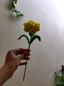 Crochet carnation Flower