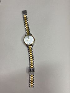 Titan Elegant Two-Tone Watch