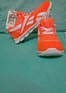 Sports Shoes for Players