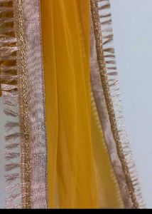 Gorgeous Lehenga Choli