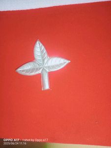 Pure Silver Belpatra Leaves For Puja