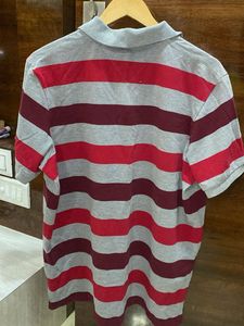 Grey Striped Polo Tshirt Men