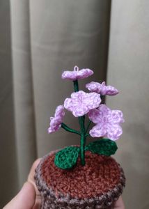 Crochet Flower Pot (Forgot Me Not)