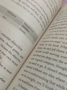 The Ikigai Journey (Vol 2)