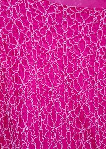 All Over Net Embroiderd Dress