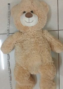 Tedy Bear