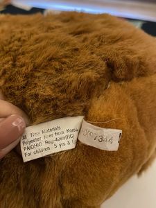 Cute Brown Teddy Bear