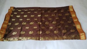 Brown Saree With Rich Pallu