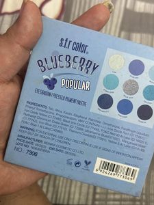 Sfr Color Blueberry Eyeshadow Palette
