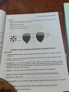 First Year Biology and Chemistry Lecture Notes