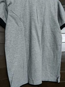 Vivid Bharti Men Gray Polo T-Shirt