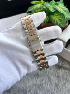 Citizen Two-Tone Watch