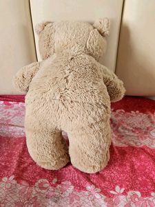Cute Plush Teddy Bear Set
