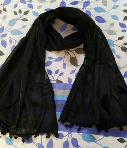 Black Pure Cotton Dupatta / Stole