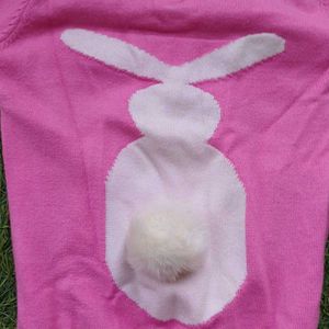 Cute Pink Korean Sweater with Bunny tail back