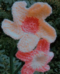 Handmade Crochet Flower Pot