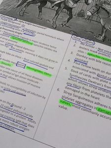 Microbiology And Pharmacology Notes By Sketchy Med