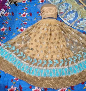 Lehenga/blouse and dupatta
