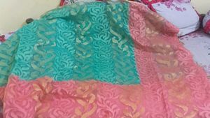 Elegant Saree - Mint &amp; Peach