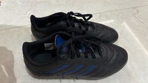 Adidas  Football Shoes /studs