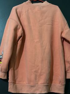 sweatshirt 🤩