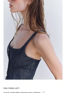 Zara Denim Button-Down Dress