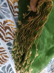 Elegant Green Dupatta