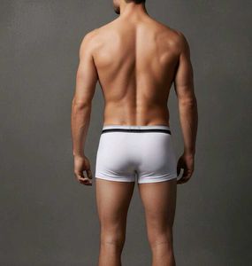 Auntentic Dolce &amp; Gabbana Boxers